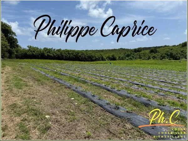 Propriété 