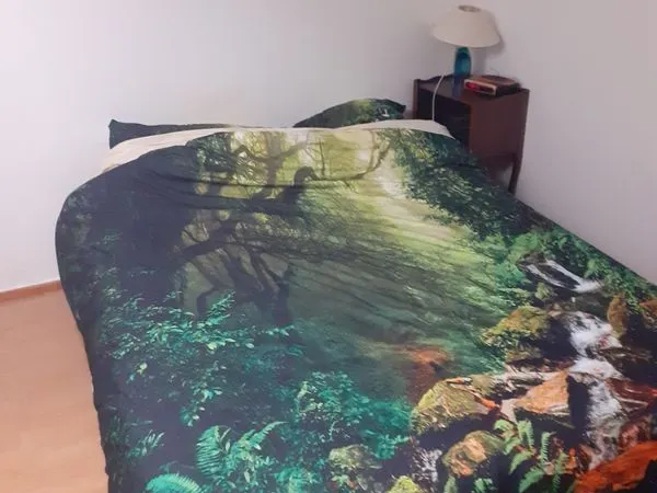 Bordeaux-Caudéran > Chambre privée - Colocation Janvier 2026 