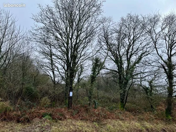 Terrain de 3000 m2