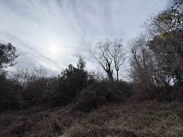 Terrain à 100 m de la Mairie de BASSUSSARRY 
