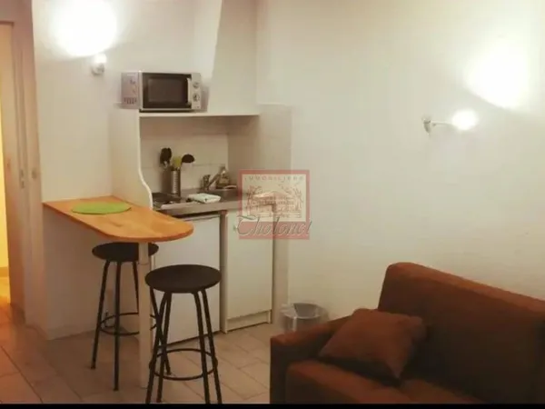 Appartement 1 pièce 19 m² 