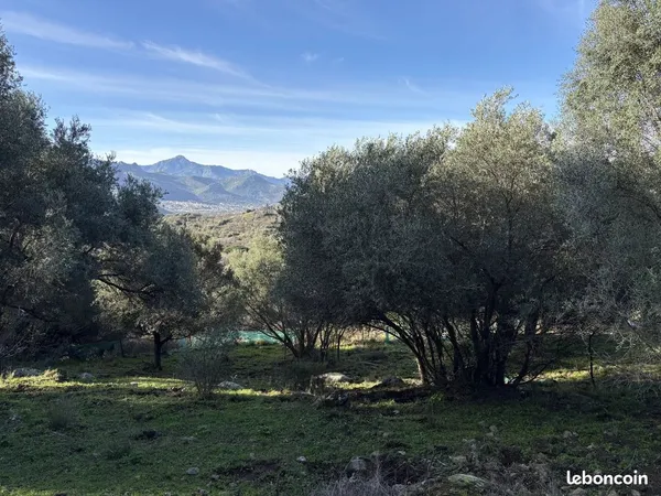 Terrain 5040 m² Montegrosso 