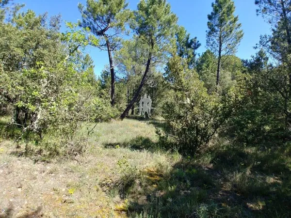 AUPS : Magnifique terrain plat de 3 Hectares