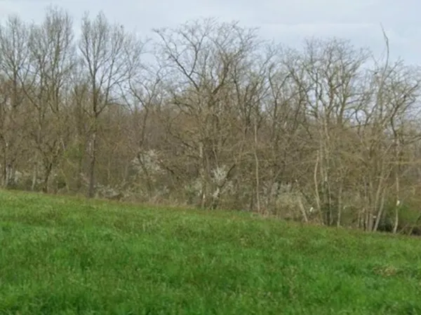 Terrain 850 m² 