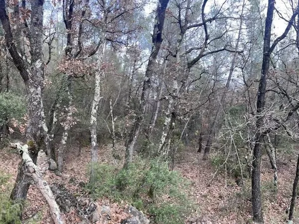 Terrain 3005 m² Figanières 