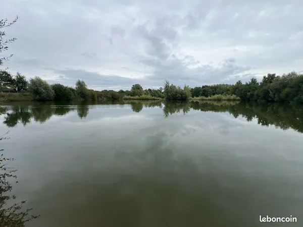 Étang de 2 hectares sur 3,3 hectares de terrains 