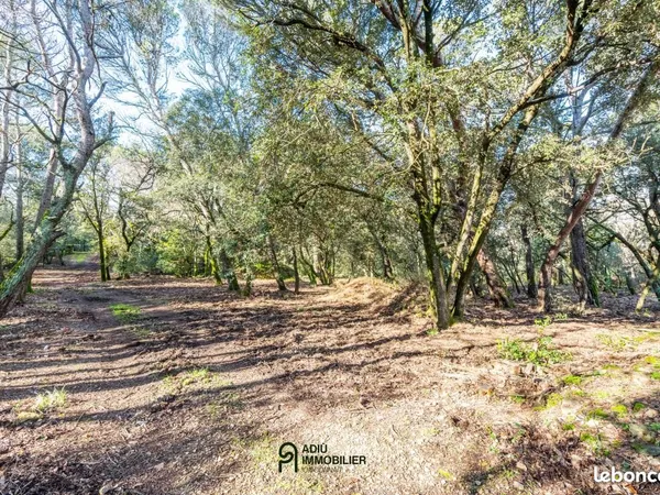 Terrain 3 367 m² Orsan 