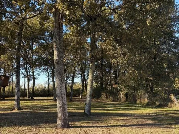 Terrain 1 300 m² Cestas 
