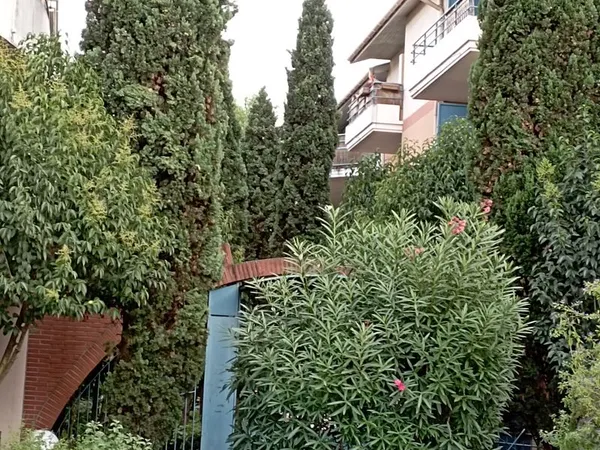Charmant meublé Terrasse-Piscine Centre-ville St Cyprien 