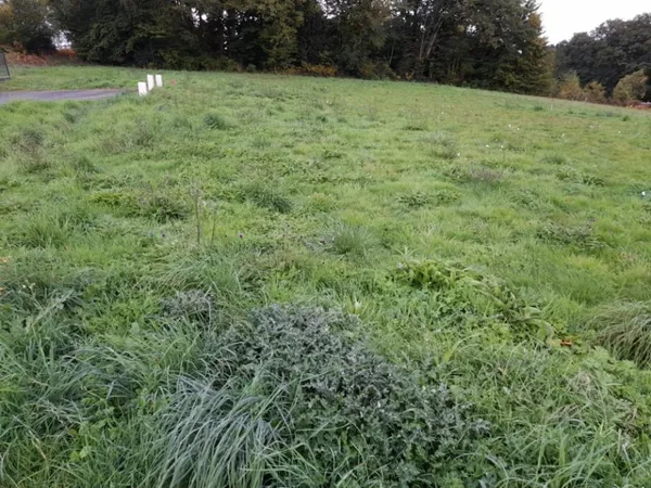 Terrain 1120 m² 