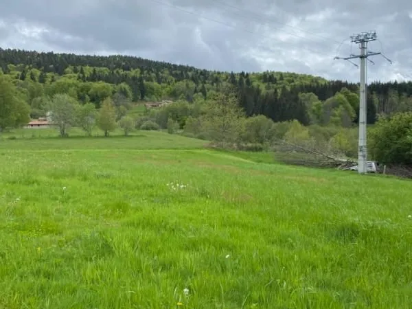 Terrain 1 680 m² Le Brugeron 