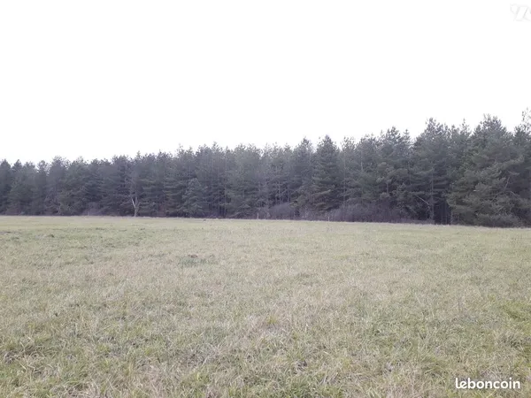 Terrain 58977 m² FONTAINES EN SOLOGNE 