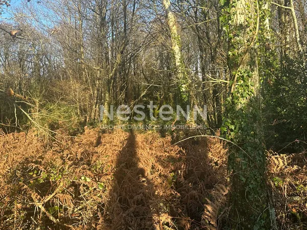 Terrain 16470 m² 