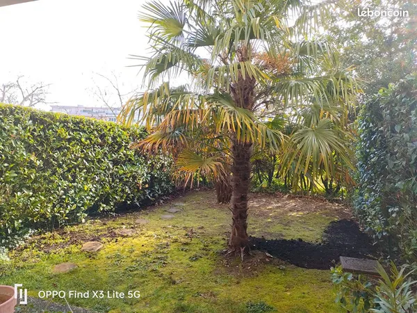 Appartement 3 pièces 76 m² 