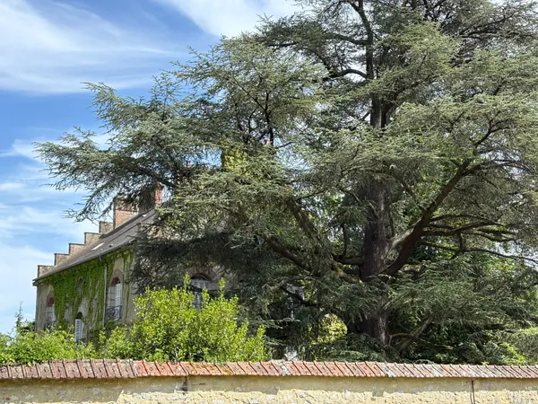 Vends maison 290m² 
