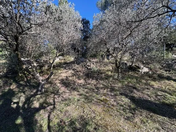 Terrain en colline proche du centre 