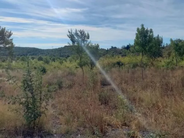 Terrain 631 m² 