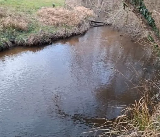 Terrain de loisirs en bord de rivière (Authion) 