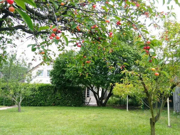 Maison 8 pièces 170 m² 