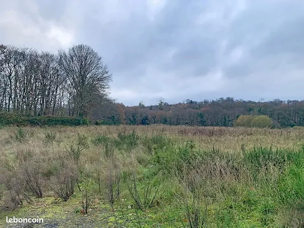 Terrain 10117 m² PLOUISY 