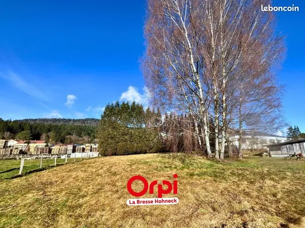 Terrain 1 238 m² Saint Ame 