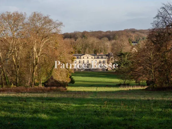 Château 20 pièces 