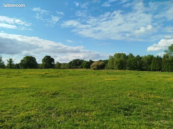 Location terrain pour chevaux 