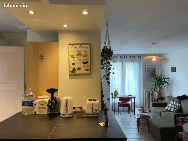 T3 lumineux et calme + parking - quartier Saint-Cyprien - Toulouse 