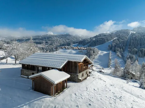 Chalet 8 pièces 475 m² 