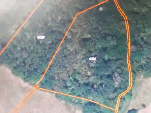 Terrain boisé de 9630 m2 à Bransat 