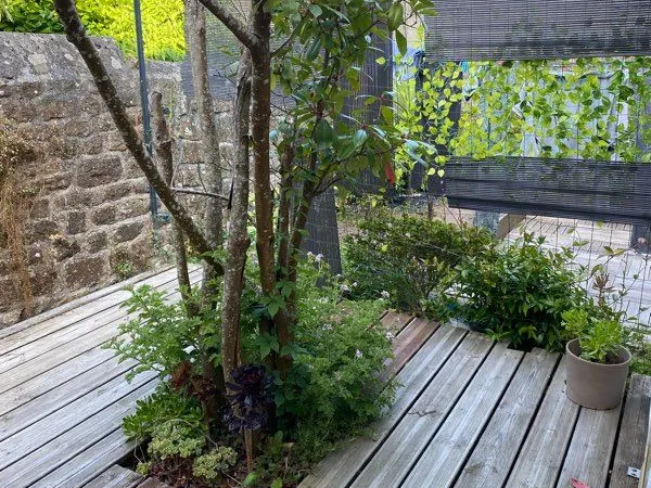 Studio+ terrasse+cabanon 
