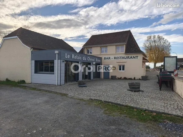 Restaurant 246 m² 