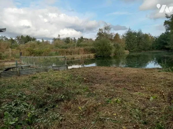 Terrain 15055 m² 