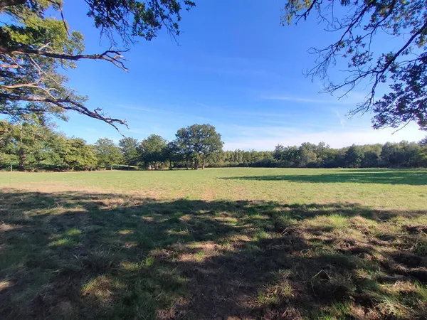 Terrain 550000 m² 