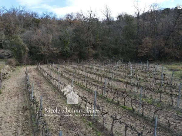 Terrain agricole 2 116 m² Rodes 