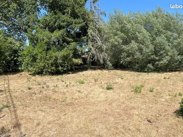 Terrain 1 295 m² Labouheyre 