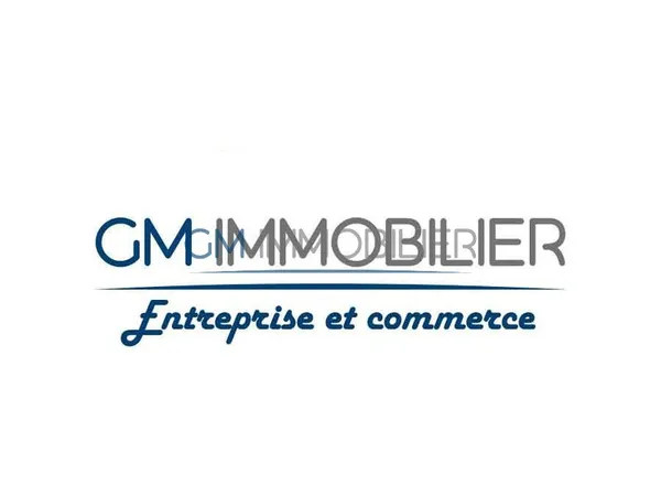Local professionnel 300 m² 