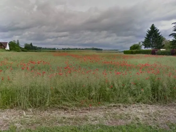 Terrain 1000 m² 