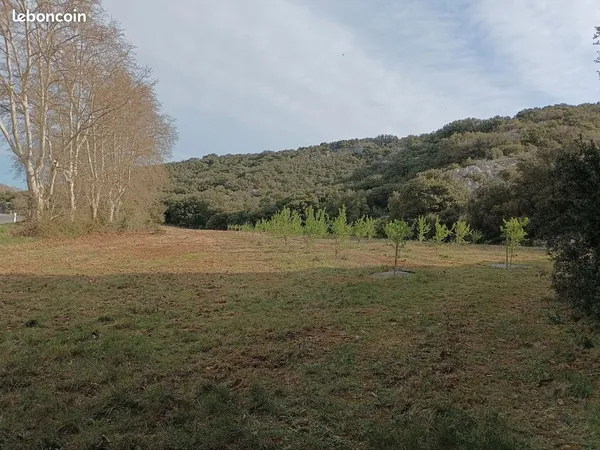 Terrain agricole amandiers 