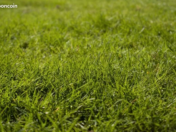 Terrain 1 800 m² Quittebeuf 