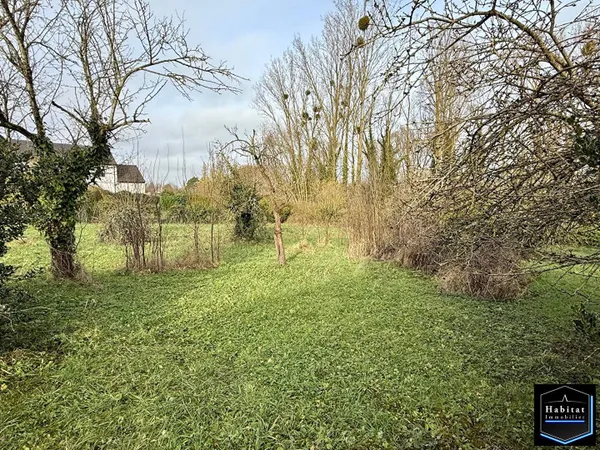 Local 39 m² 