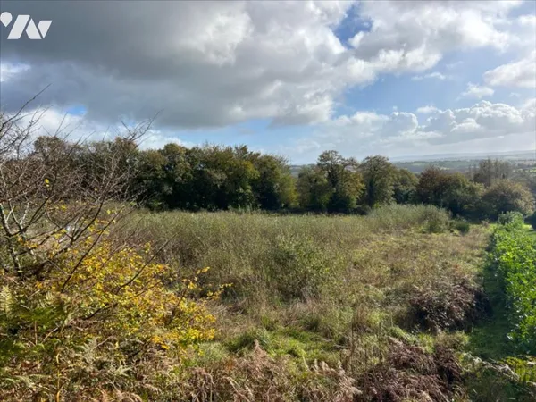 Terrain 4300 m² 