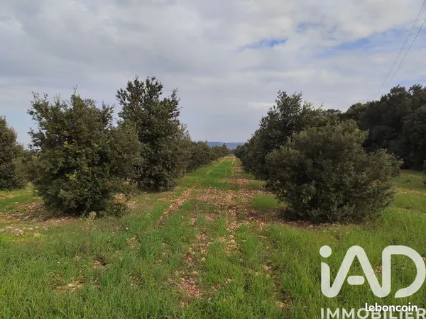 Terrain 5708 m² SAINTE CECILE LES VIGNES 