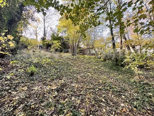 Propriété 61 m² 