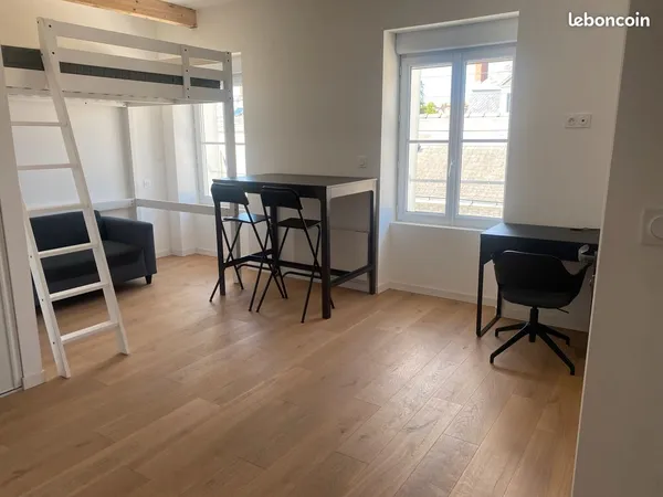 Très beau studio meublé 29 m2 refait à neuf plein centre, sans frais d'agence 