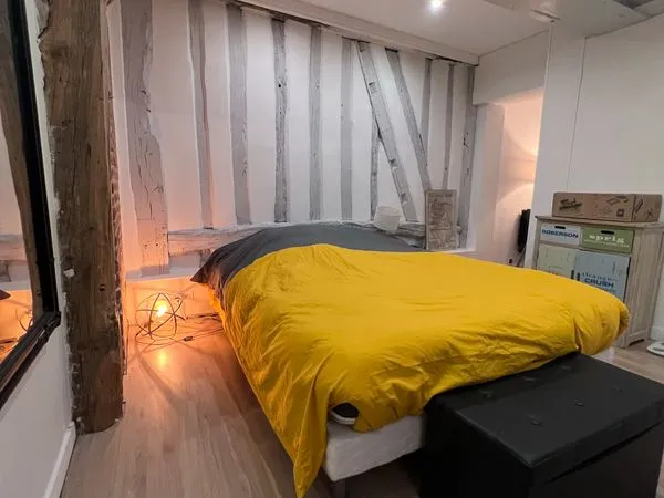 T2 MEUBLÉ PREMIUM - 48 m² - Hyper Centre Rouen - 900 CC (Eau incluse) 