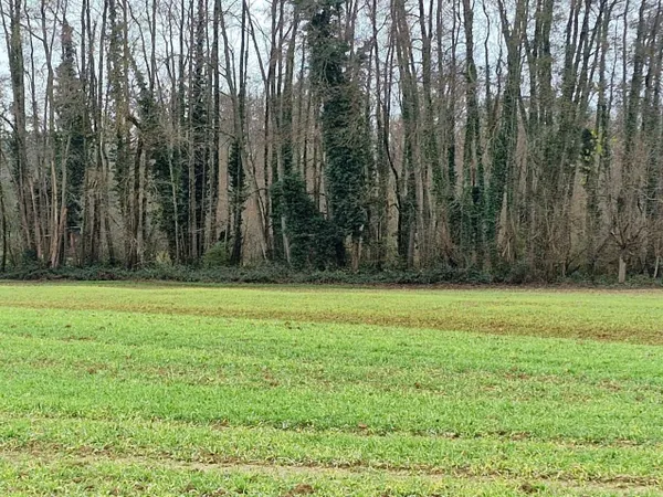 Terrain 1690 m² 