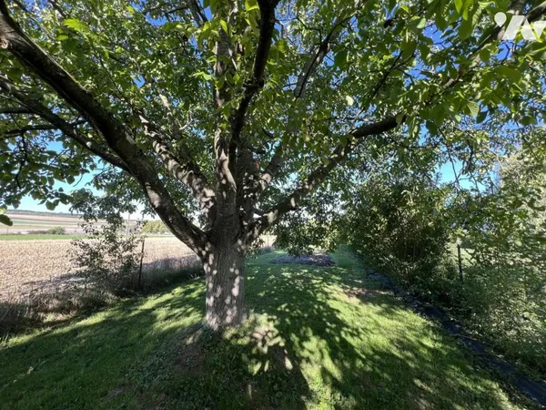 Terrain 860 m² 