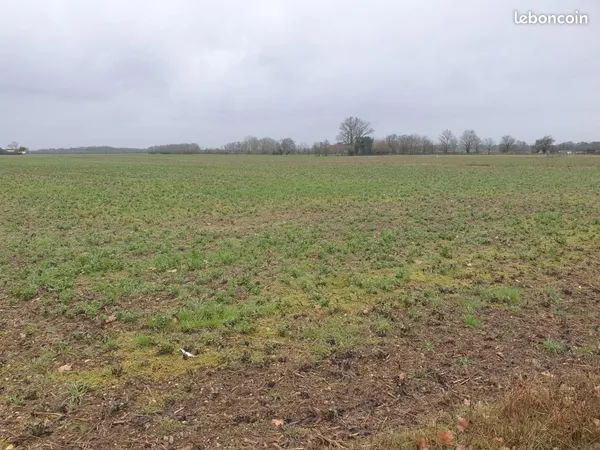 Terrain 800 m² Bonnetan 