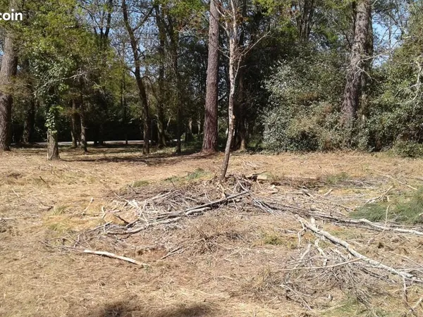Terrain 850 m² Saucats 